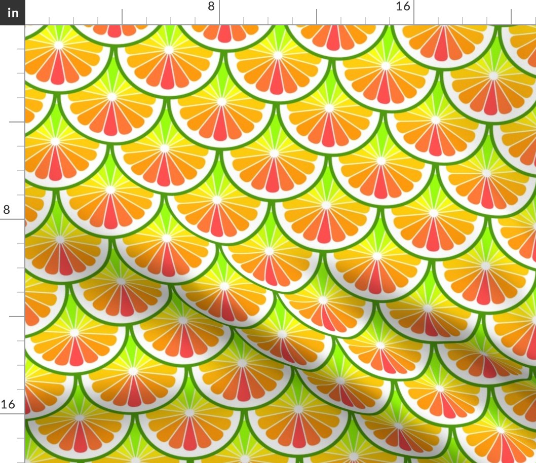 02245699 : citrus scale : rainbow