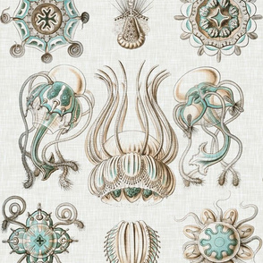 Sea Creatures on Linen