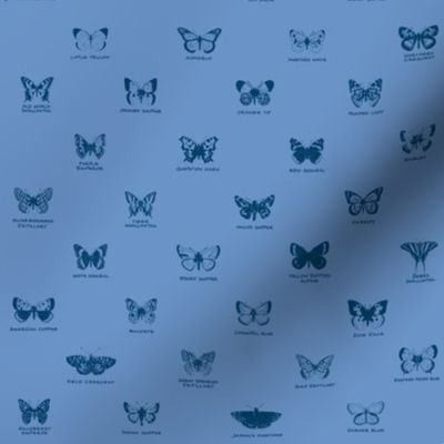 butterfly alphabet - blue twilight