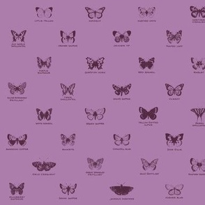 butterfly alphabet - twilight mauve