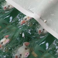 When Pigs Swim