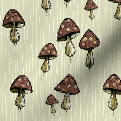 Mixed mushrooms - light