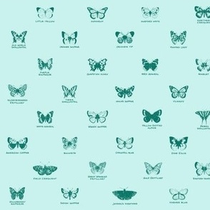 butterfly alphabet - spruce