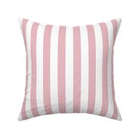 peppermint stripe