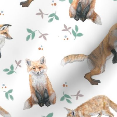 Frolicking Foxes