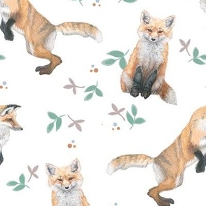 Frolicking Foxes