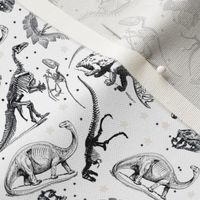 Black and White Dinosaurs and Stars