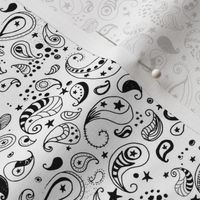 Black White Paisley and Stars