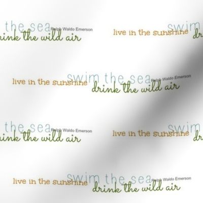 drink the wild air quote