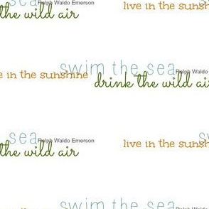 drink the wild air quote