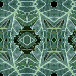 Leaf Abstract 1
