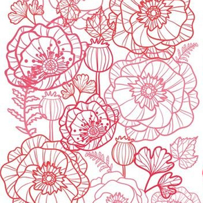 Poppies line art matching border