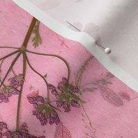 Pressed flowers on pink