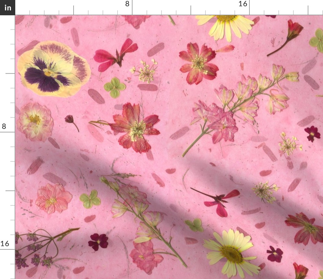 Pressed flowers on pink