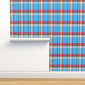 blue red Lumberjack Plaid checks tartan