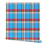 blue red Lumberjack Plaid checks tartan