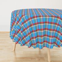 blue red Lumberjack Plaid checks tartan