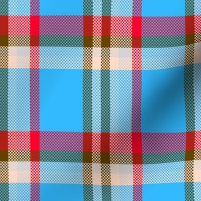 blue red Lumberjack Plaid checks tartan