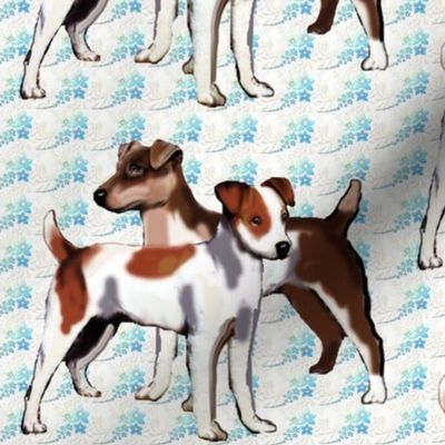 jack_russells_with_floral_background