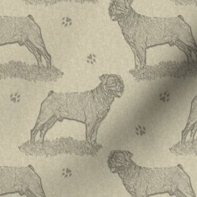Rottweiler standing stamp - tan