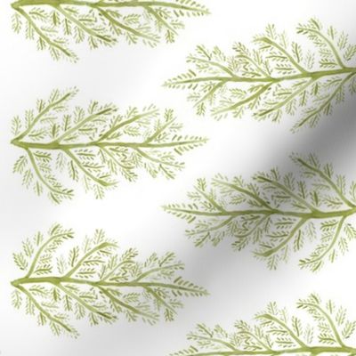 Green Fern