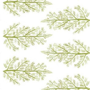 Green Fern