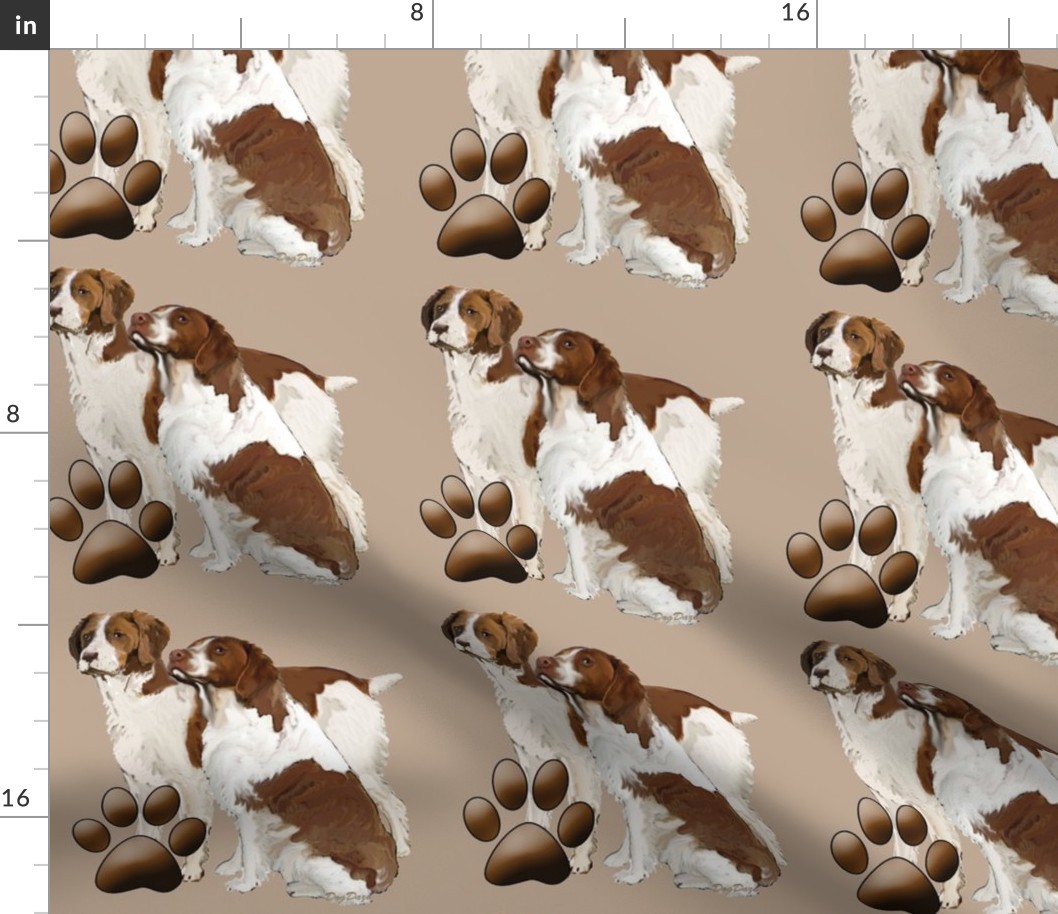 brittany_spaniels_liver_color