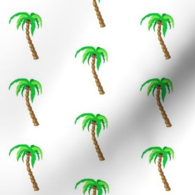 palm tree