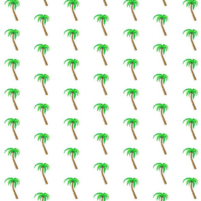 palm tree