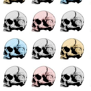 human_skull_pattern