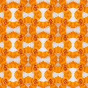 California poppy plaid