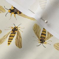 hornet moths natural