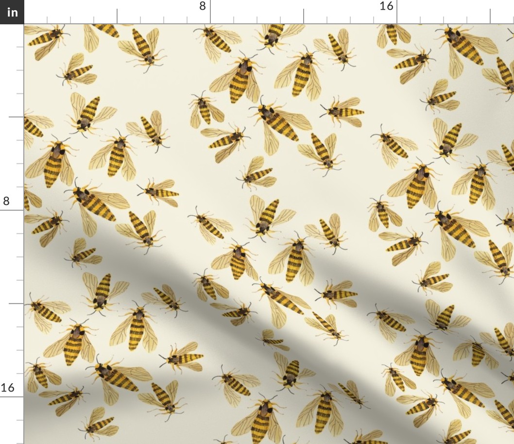 hornet moths natural