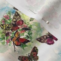 summer_butterflies