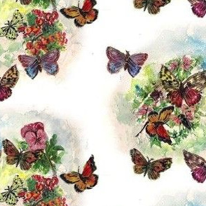 summer_butterflies