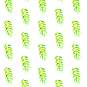 Lime leaves - small(er)