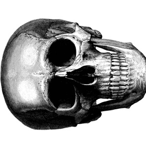 skull32x46