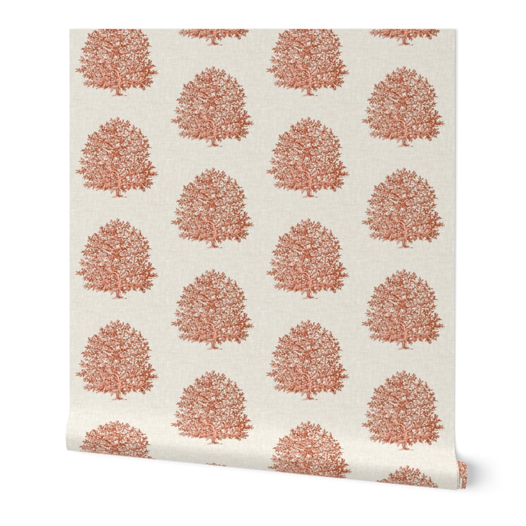 Coral on Linen