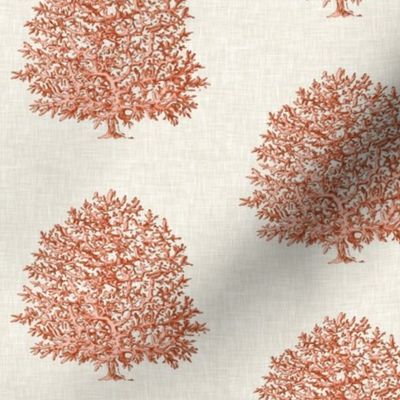 Coral on Linen