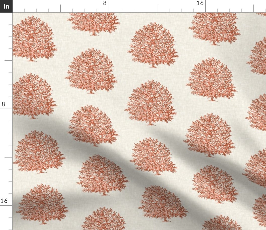 Coral on Linen