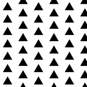 Black Triangles on White