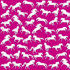 Horses Pink Indie