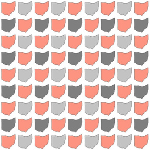 ohio_pattern-_coral_and_gray