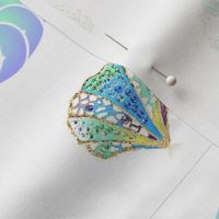 Lucious Sea Shell Colors