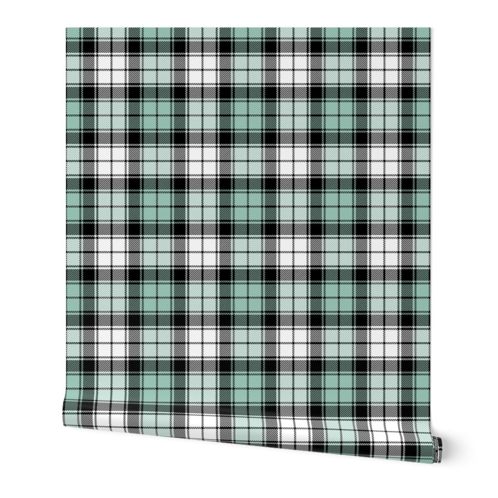 02284757 : tartan : spoonflower0099