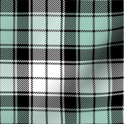 02284757 : tartan : spoonflower0099