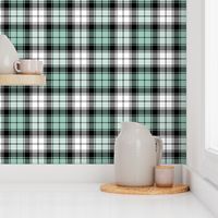 02284757 : tartan : spoonflower0099