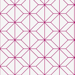 geometry haute pink
