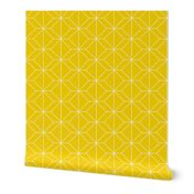 geometry yellow