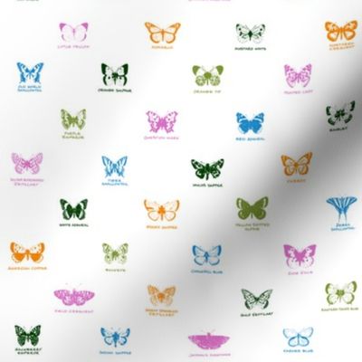 butterfly alphabet - butterfly contest palette